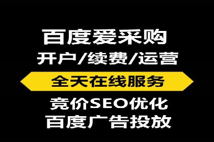 百度竞价广告案例分析：成功之道揭秘